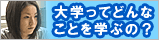 N[YAbvꗗ